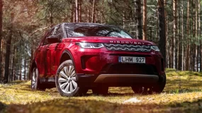 Range Rover in the forest.