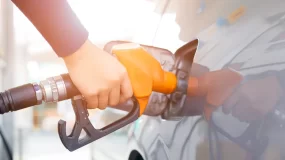 Velox Auto Insurance